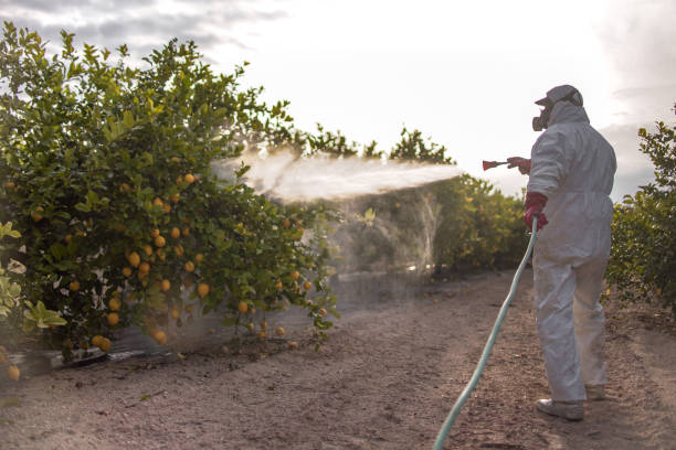 Best Affordable Pest Control Services  in Prescott, WI