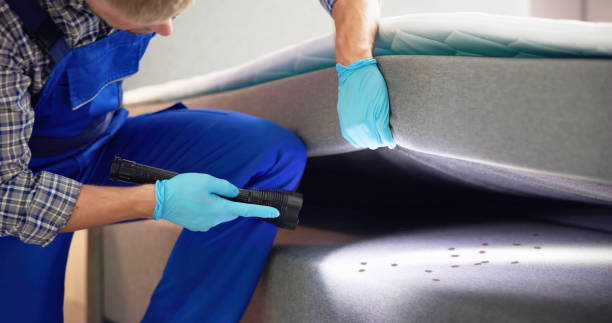 Wasp Removal Services in Prescott, WI