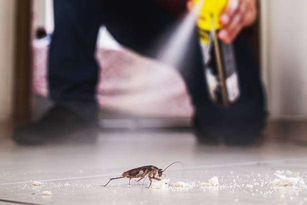 Best Local Pest Control Services  in Prescott, WI