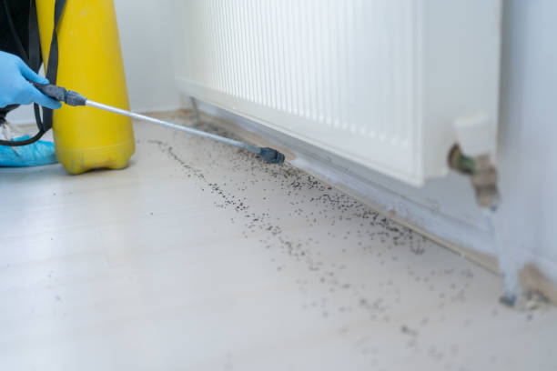 Best Exterminator Services  in Prescott, WI