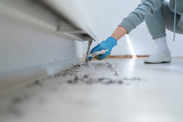 Best Residential Pest Control  in Prescott, WI